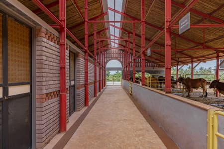 Gaughar Animal Husbandry